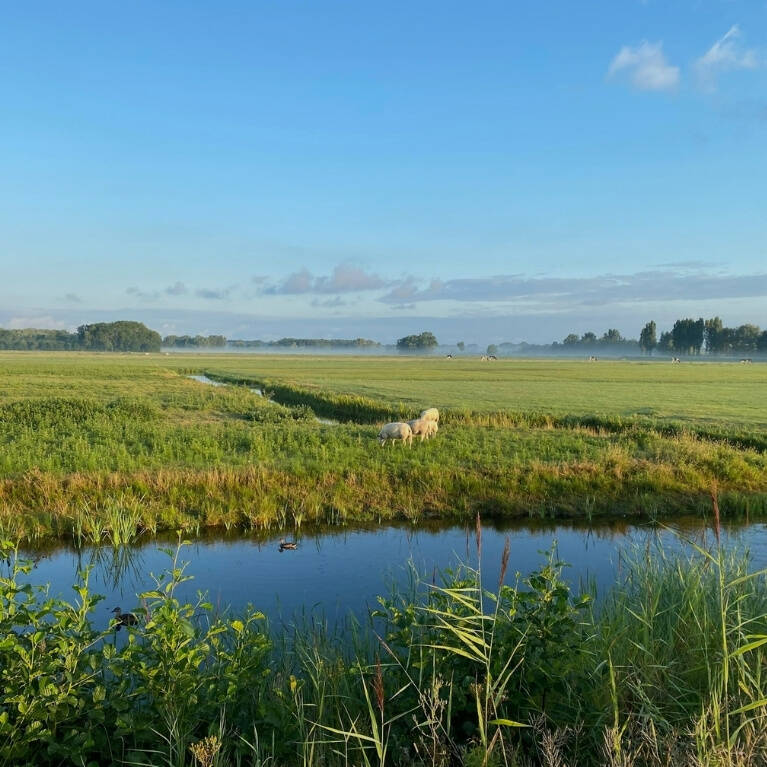 Camping Wassenaar